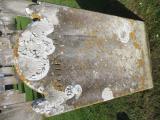 image number C8_193